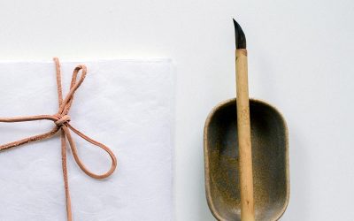 Il primo articolo di Acchiappafoto