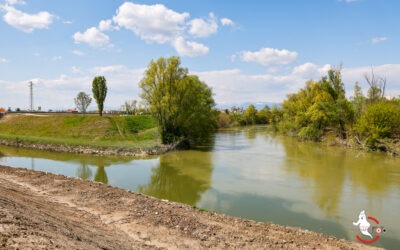 Monticano, non tutti sanno che…