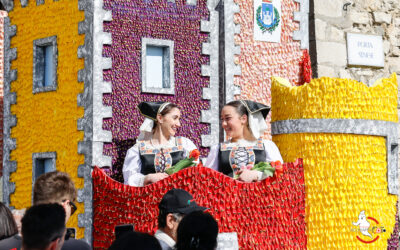 Festa dei Tulipani