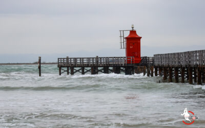 Da Lignano a Marano: un itinerario fotografico tra mare in burrasca e osteria tipica